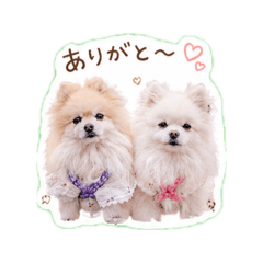 pottsu_20260514163955