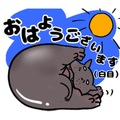 Nuance Hippo: Polite Replies