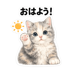 kt._20260514182412