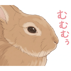 めいちゃん4歳