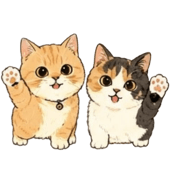 MunchkinCats Moko and Mugi