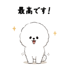Fluffy White Pup Daily Words