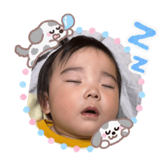 ame_20260516203042