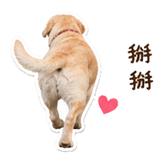 王肉球