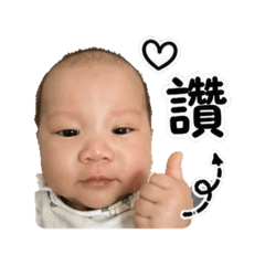 恩綺圖貼