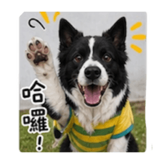 小楓愛去公園