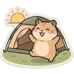 Camper Hammy