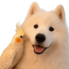 Sadaharu Stickers Vol. 2