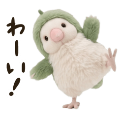 Fluffy Dinosaur Java Sparrow