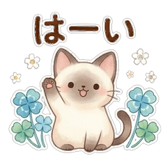 Cute Siamese Cats for Everyday