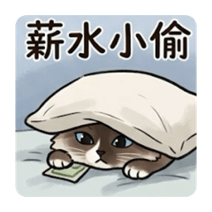 米粒工作日記2