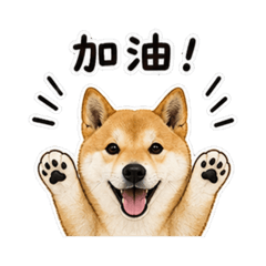 可愛柴犬錢錢