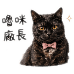 嚕咪廠長的日常