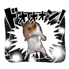purinn_1