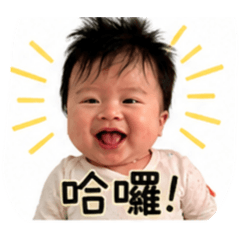 日常軟萌出沒中