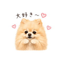 Chako_20260516165644