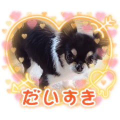 3DOG_20260516130930