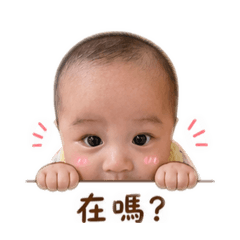 控肉豬1