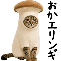 Puns for Tabby Cat Owners