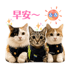 布丁吉吉阿金