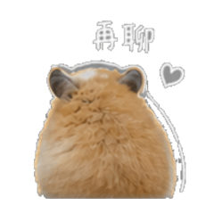 家鼠2