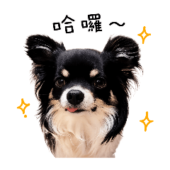 小公主淑芬