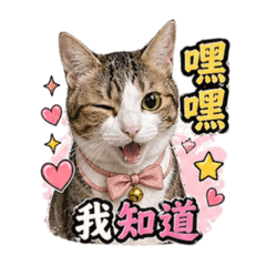 在下有錢