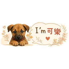 I’m 小可樂