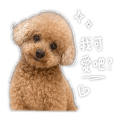 嘟嘟表情包包