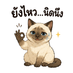 PangKhing : The Burnout Siamese Cat