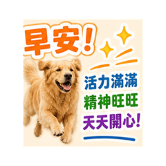 黃金獵犬卡卡早安圖1