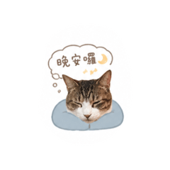 咪2日常