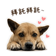 聯倉阿寶