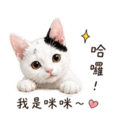 咪咪去打工
