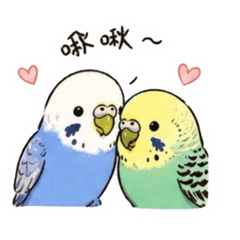 錢·珊鳥事