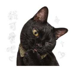 威威忌忌