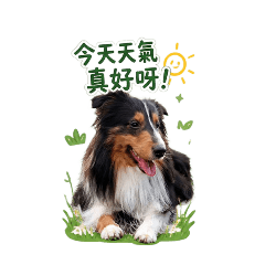 Sunny喜樂蒂貼圖