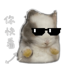 手掌心☕️