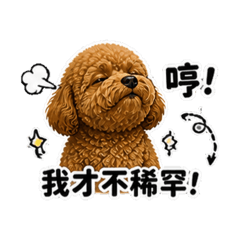 可愛擔當的Money