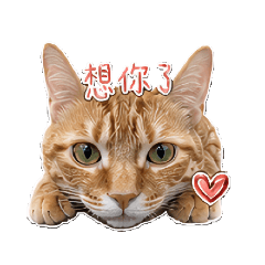 咖逼日常篇1