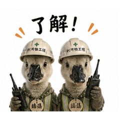鵝鵝上工了