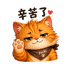 給你秀秀!我是帕基