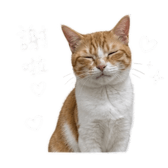 菠蘿油專屬貼圖