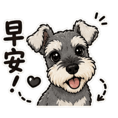黑皮物語