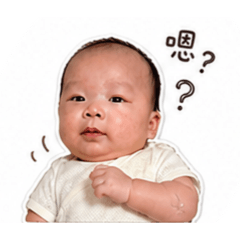 橙豬豬