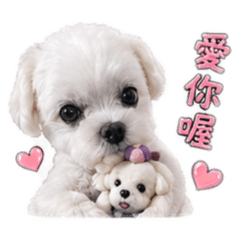 可愛的阿寶❤️第二版