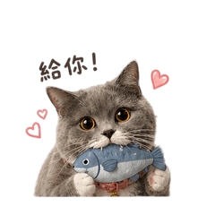 Duffy x 達菲菲