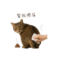 小金很難搞