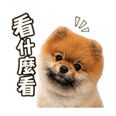 Otoro日常