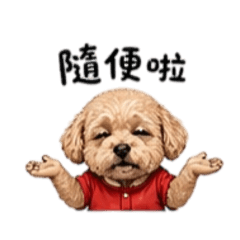 邱小寶-日常用語篇！